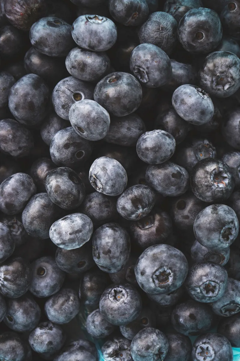 Fresh blueberries at their summer peak per fruit season chart