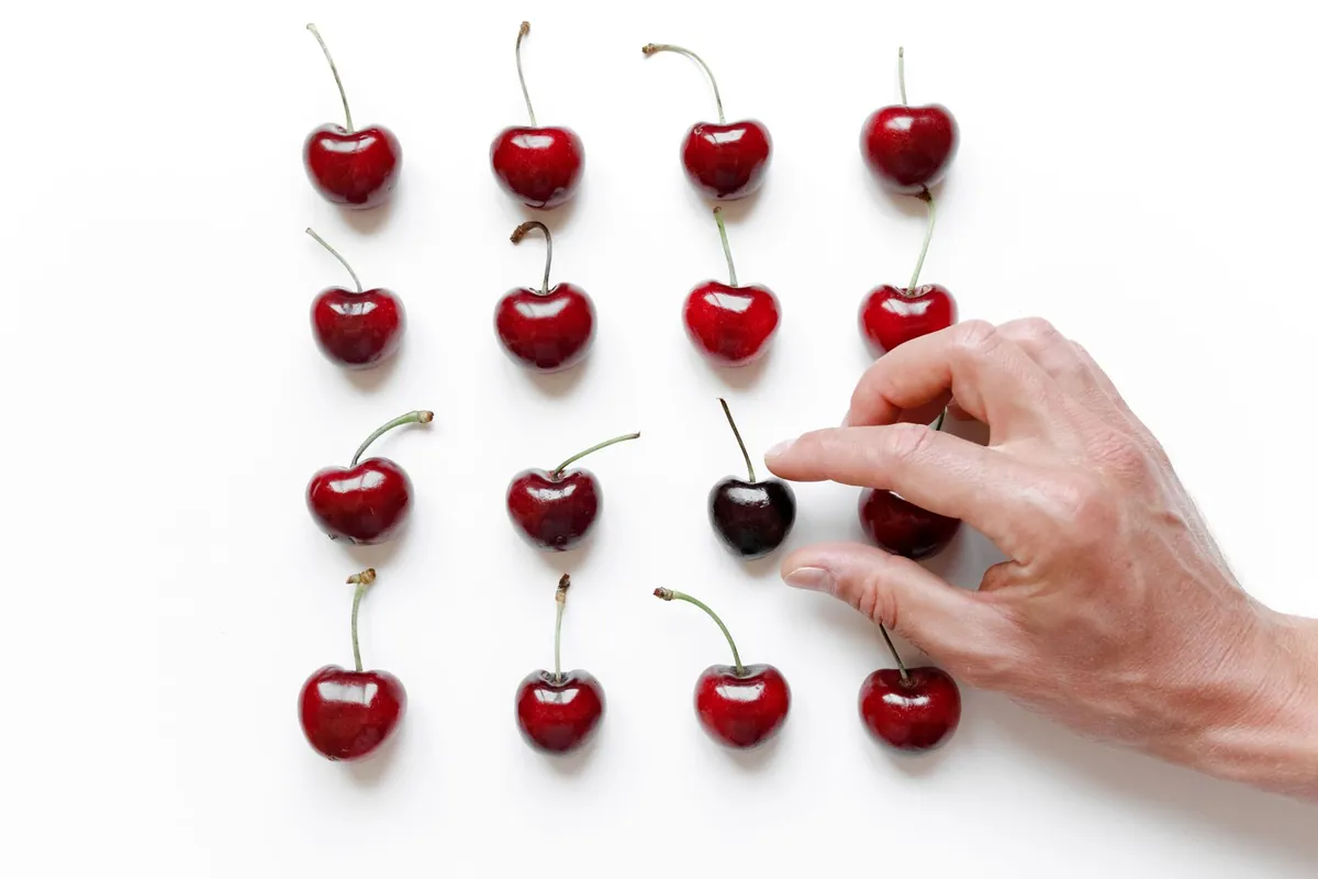 Sweet cherries in season on the fruit season chart