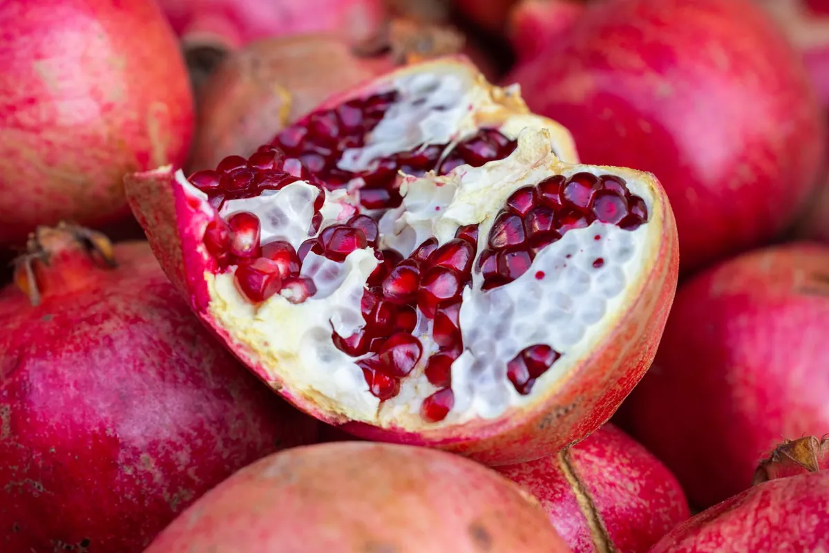 Pomegranate in season during fall on fruit season chart